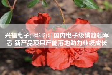 兴福电子(688545)：国内电子级磷酸领军者 新产品项目产能落地助力业绩成长
