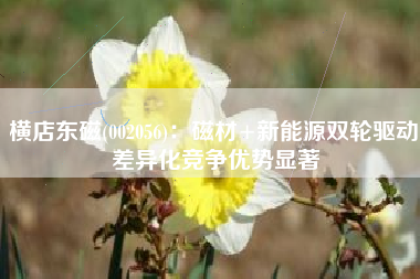 横店东磁(002056)：磁材+新能源双轮驱动 差异化竞争优势显著