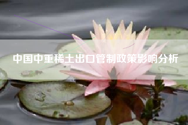 中国中重稀土出口管制政策影响分析
