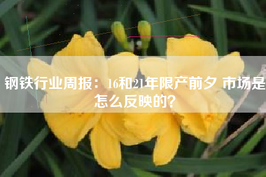 钢铁行业周报：16和21年限产前夕 市场是怎么反映的？