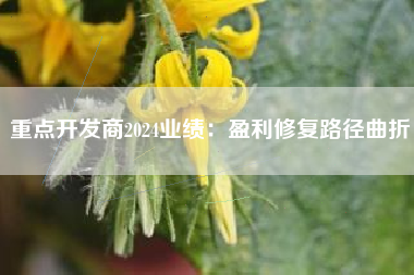 重点开发商2024业绩：盈利修复路径曲折