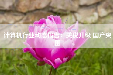 计算机行业动态报告：关税升级 国产突围