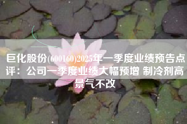 巨化股份(600160)2025年一季度业绩预告点评：公司一季度业绩大幅预增 制冷剂高景气不改