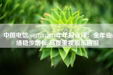 中国电信(601728)2024年年报点评：全年业绩稳步增长 高度重视股东回报