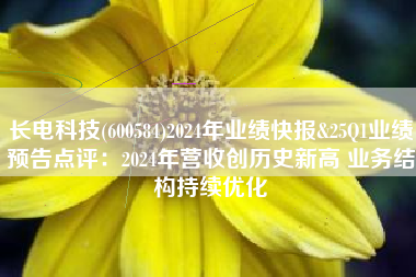 长电科技(600584)2024年业绩快报&25Q1业绩预告点评：2024年营收创历史新高 业务结构持续优化