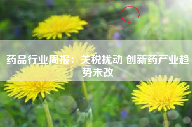 药品行业周报：关税扰动 创新药产业趋势未改