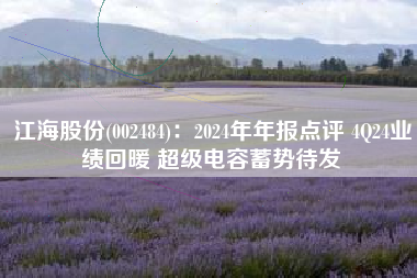 江海股份(002484)：2024年年报点评 4Q24业绩回暖 超级电容蓄势待发