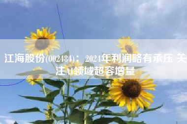 江海股份(002484)：2024年利润略有承压 关注AI领域超容增量
