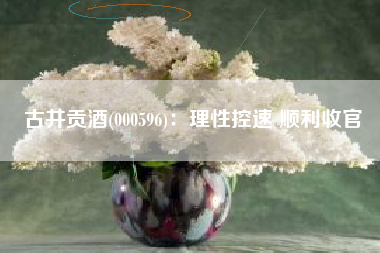 古井贡酒(000596)：理性控速 顺利收官
