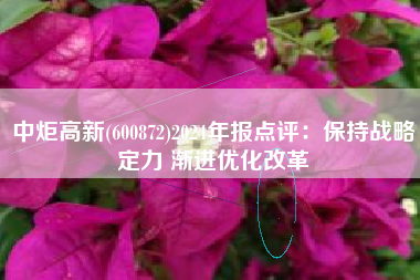 中炬高新(600872)2024年报点评：保持战略定力 渐进优化改革