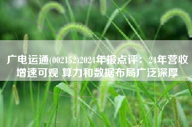 广电运通(002152)2024年报点评：24年营收增速可观 算力和数据布局广泛深厚