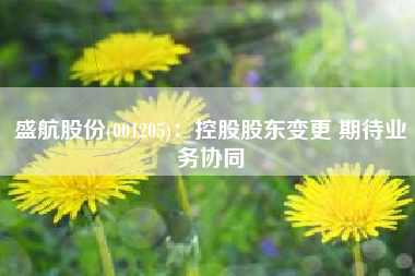 盛航股份(001205)：控股股东变更 期待业务协同