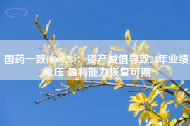 国药一致(000028)：资产减值导致24年业绩承压 盈利能力恢复可期