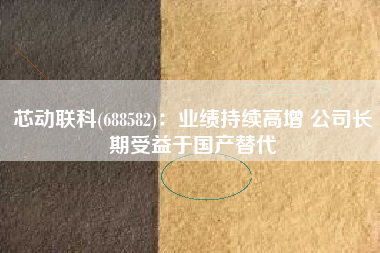 芯动联科(688582)：业绩持续高增 公司长期受益于国产替代