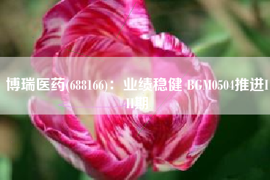 博瑞医药(688166)：业绩稳健 BGM0504推进III期