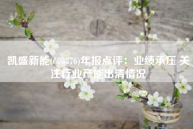 凯盛新能(600876)年报点评：业绩承压 关注行业产能出清情况