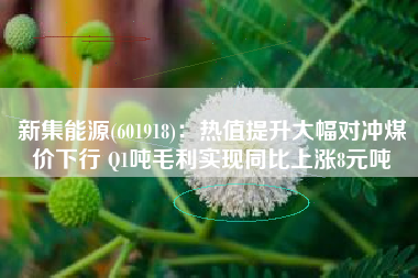 新集能源(601918)：热值提升大幅对冲煤价下行 Q1吨毛利实现同比上涨8元吨