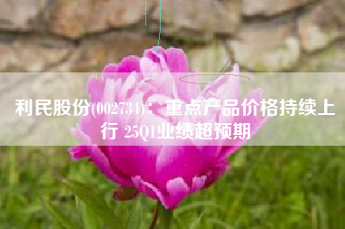 利民股份(002734)：重点产品价格持续上行 25Q1业绩超预期