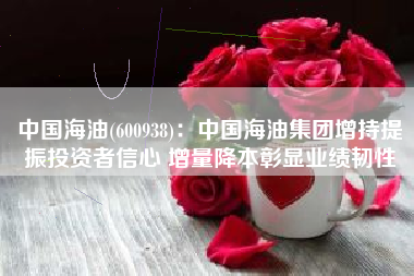 中国海油(600938)：中国海油集团增持提振投资者信心 增量降本彰显业绩韧性
