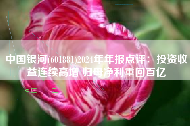 中国银河(601881)2024年年报点评：投资收益连续高增 归母净利重回百亿