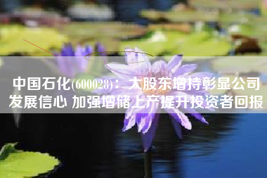 中国石化(600028)：大股东增持彰显公司发展信心 加强增储上产提升投资者回报