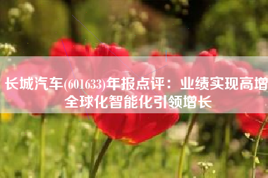 长城汽车(601633)年报点评：业绩实现高增 全球化智能化引领增长