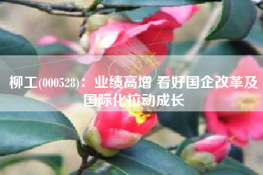 柳工(000528)：业绩高增 看好国企改革及国际化拉动成长