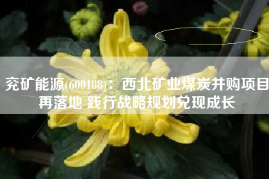 兖矿能源(600188)：西北矿业煤炭并购项目再落地 践行战略规划兑现成长
