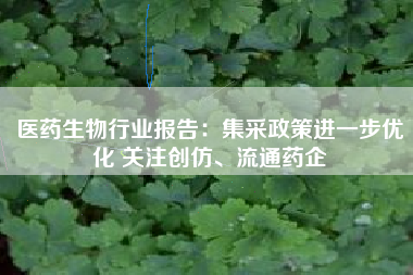 医药生物行业报告：集采政策进一步优化 关注创仿、流通药企
