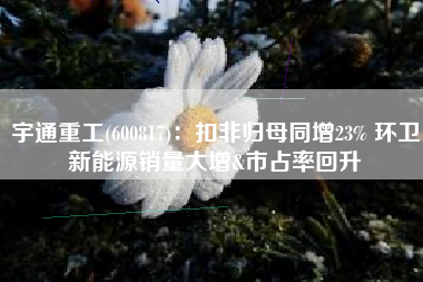 宇通重工(600817)：扣非归母同增23% 环卫新能源销量大增&市占率回升