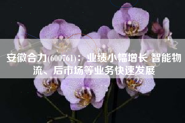 安徽合力(600761)：业绩小幅增长 智能物流、后市场等业务快速发展