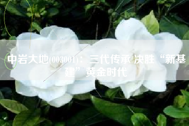 中岩大地(003001)：三代传承 决胜“新基建”黄金时代