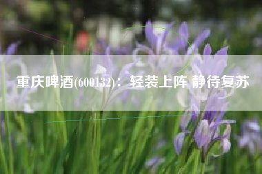 重庆啤酒(600132)：轻装上阵 静待复苏