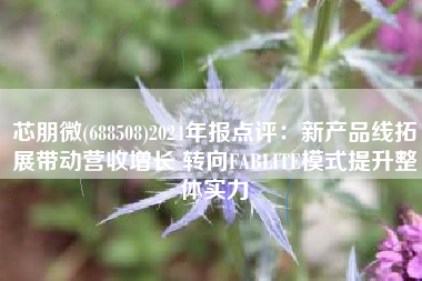 芯朋微(688508)2024年报点评：新产品线拓展带动营收增长 转向FABLITE模式提升整体实力