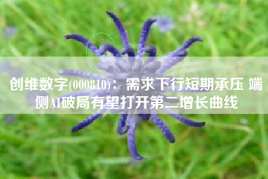 创维数字(000810)：需求下行短期承压 端侧AI破局有望打开第二增长曲线
