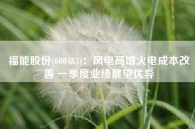 福能股份(600483)：风电高增火电成本改善 一季度业绩展望优异