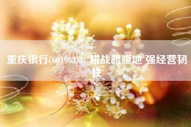 重庆银行(601963)：耕战略腹地 强经营韧性