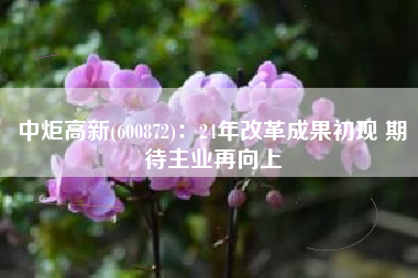 中炬高新(600872)：24年改革成果初现 期待主业再向上