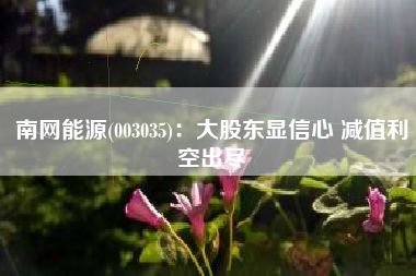 南网能源(003035)：大股东显信心 减值利空出尽