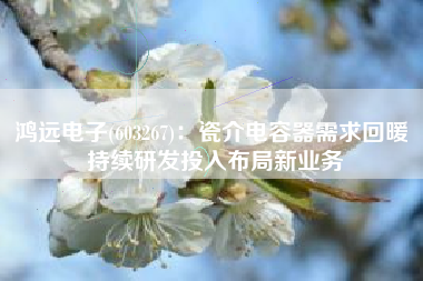 鸿远电子(603267)：瓷介电容器需求回暖 持续研发投入布局新业务