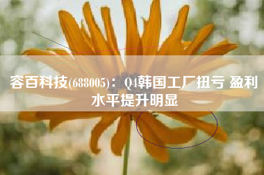 容百科技(688005)：Q4韩国工厂扭亏 盈利水平提升明显