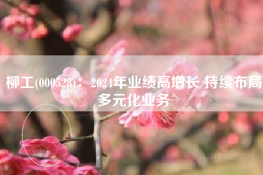 柳工(000528)：2024年业绩高增长 持续布局多元化业务