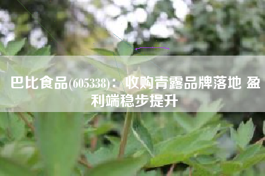 巴比食品(605338)：收购青露品牌落地 盈利端稳步提升