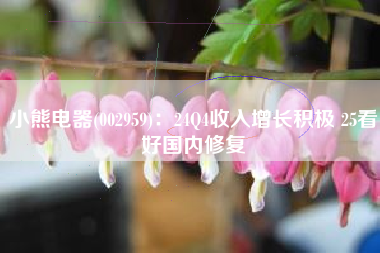 小熊电器(002959)：24Q4收入增长积极 25看好国内修复