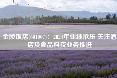 金陵饭店(601007)：2024年业绩承压 关注酒店及食品科技业务推进
