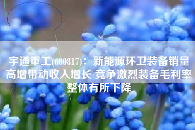 宇通重工(600817)：新能源环卫装备销量高增带动收入增长 竞争激烈装备毛利率整体有所下降
