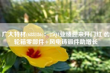 广大特材(688186)：25Q1业绩迎来开门红 齿轮箱零部件+风电铸锻件助增长