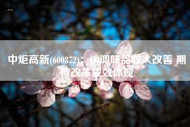 中炬高新(600872)：Q4调味品收入改善 期待改革成效体现