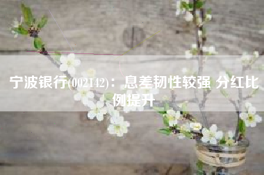 宁波银行(002142)：息差韧性较强 分红比例提升