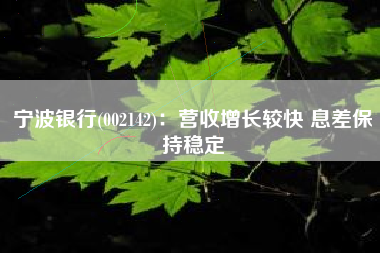 宁波银行(002142)：营收增长较快 息差保持稳定